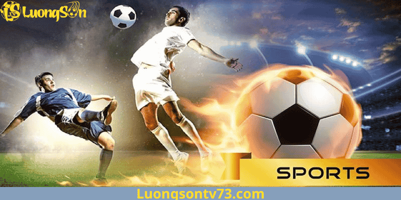 Trang chủ 4 Định Hướng Phát Triển Của LuongSonTV Trong Tương Lai
